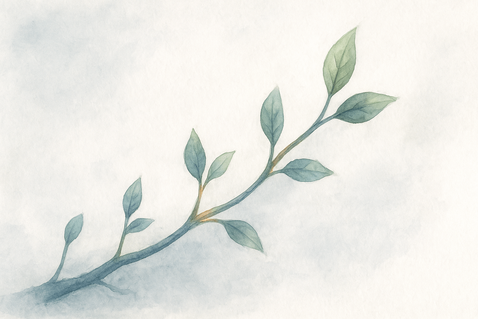 You are currently viewing La culture d’entreprise, comment ça peut être utile